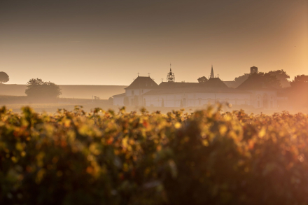 Hôtel Restaurant Saint-Emilion · Logis de la Cadène