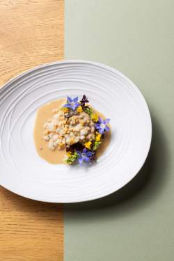 Hôtel Restaurant Saint-Emilion · Logis de la Cadène