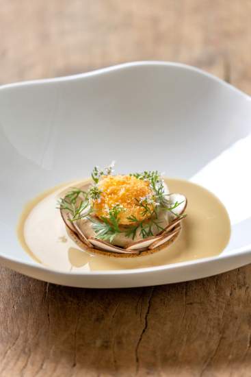 Tartelette de sarrasin aux champignons de Saint-Émilion. @deepixstudio